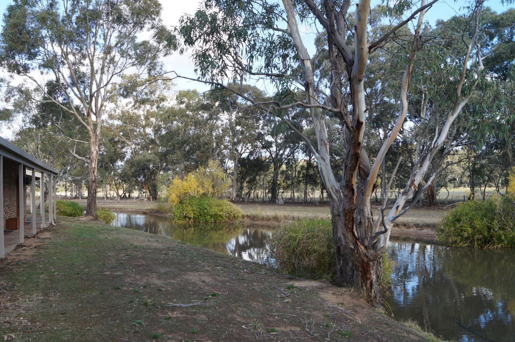 Magdala Motor Lodge & Lakeside Restaurant Stawell Oda fotoğraf