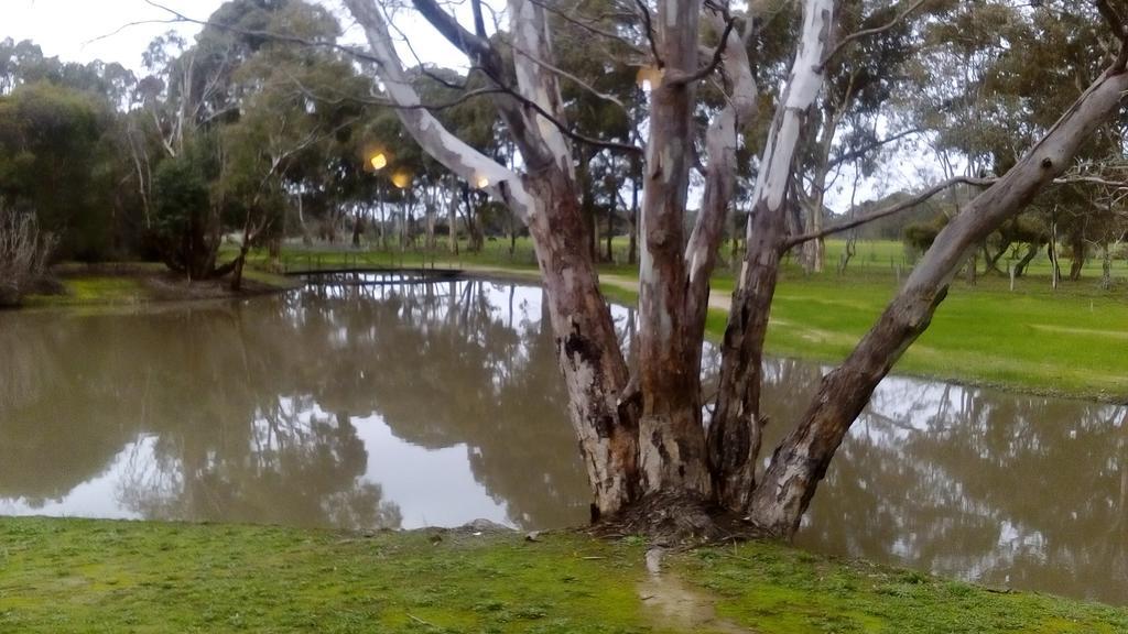 Magdala Motor Lodge & Lakeside Restaurant Stawell Dış mekan fotoğraf